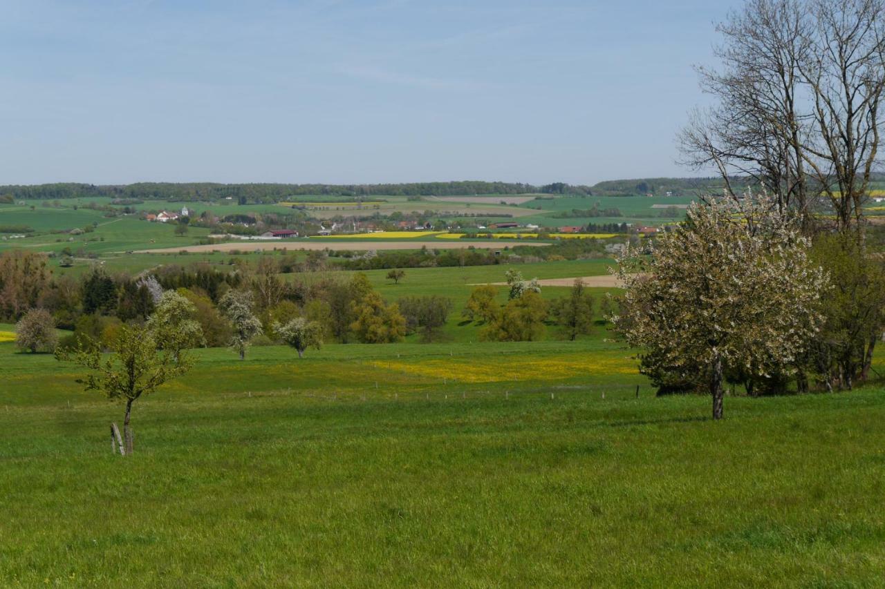 Eulennest, Haus Vogelgesang Lejlighed Gersheim Eksteriør billede